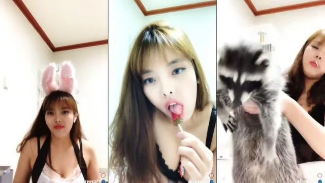 KOREAN_BJ-KBJ202102105